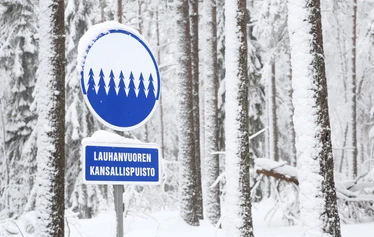 Taikapolku metsäpeuran poluilla - Metsäpeuran poluilla liikutaan Lauhanvuoren kansallispuiston maisemissa samoilla poluilla metsäpeurojen kanssa.