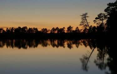 Taikapolku öisellä Kauhaneva - Auringonlasku ja jälkeiset tunnit jättävät suomaisemaan vahvan jäljen. Sää liikuttaa pilviä ja tunnelmaa.