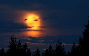 Taikapolku öisellä Kauhaneva - Auringonlasku ja jälkeiset tunnit jättävät suomaisemaan vahvan jäljen. Sää liikuttaa pilviä ja tunnelmaa.