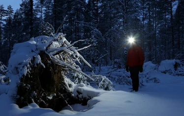 Kaamoksen valot Lauhanvuorella - Taikapolun retkellä nautitaan lyhyiden päivien väliin jäävästä hämärästä ja metsän tunnelmasta. 