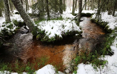 Lauhanvuoren syksyinen kivipelto - Taikapolun Lauhan klassikko tutustuttaa Lauhanvuoren kansallispuiston Kivijataan.