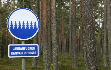Lauhanvuoren syksyinen kivipelto - Taikapolun Lauhan klassikko tutustuttaa Lauhanvuoren kansallispuiston Kivijataan.