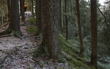 Taikapolku lakittaa Katikankanjonin - Katikankanjonin maisemat yllättävät Taikapolun lakitusretkellä.