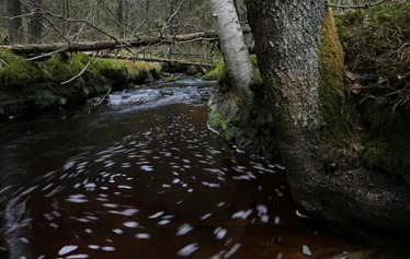 Taikapolku lakittaa Katikankanjonin - Katikankanjonin maisemat yllättävät Taikapolun lakitusretkellä.