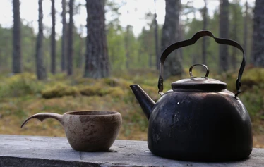 Taikapolku juhla Lauhanvuoren laella - Taikapolku juhla voi alkaa esimerkiksi alkumaljalla Lauhanvuoren näkötornilla.