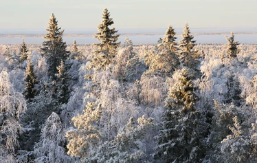 Taikapolku juhla Lauhanvuoren laella - Taikapolku juhla voi alkaa esimerkiksi alkumaljalla Lauhanvuoren näkötornilla.