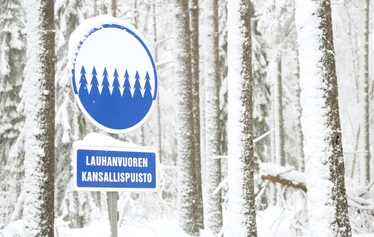 Taikapolku lumikenkäretki Lauhanvuoren rinteillä - Lauhanvuorella talven lumitilanne vaihtelee nopeasti, mutta parhaimmillaan lunta voi olla maisemassa mukava määrä.