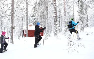 Taikapolku lumikenkäretki Lauhanvuoren rinteillä - Lauhanvuorella talven lumitilanne vaihtelee nopeasti, mutta parhaimmillaan lunta voi olla maisemassa mukava määrä.