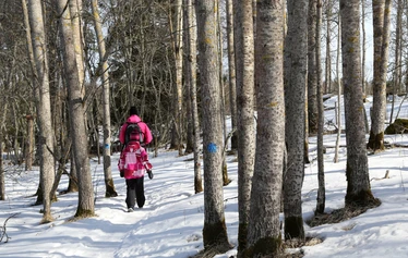 Taikapolku vie Kristiinankaupungin kupeen luontoon - Taikapolku avaa polkua Kristiinankaupungin puutalokaupungin rinnalta löytyvään Tiilitehtaanmäen ja Pohjoislahden luontoon.