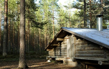 Taikapolku Pyhävuoren seinillä ja kivillä - Kristiinankaupungin Pyhävuoren jylhillä rinteillä on hienoja yksityiskohtia.