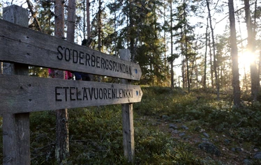 Taikapolku Pyhävuoren seinillä ja kivillä - Kristiinankaupungin Pyhävuoren jylhillä rinteillä on hienoja yksityiskohtia.