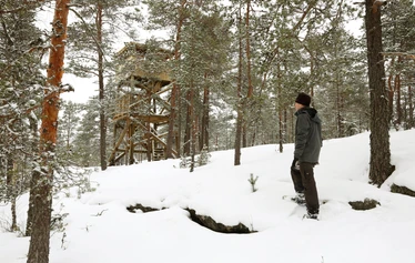 Taikapolku Susiluolan varjoissa - Susiluolaan voi lähteä tutustumaan ympäri vuoden, joko hieman pitemmän tai lyhyemmän kävelyn kautta.