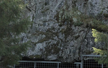 Taikapolku Susiluolan varjoissa - Susiluolaan voi lähteä tutustumaan ympäri vuoden, joko hieman pitemmän tai lyhyemmän kävelyn kautta.