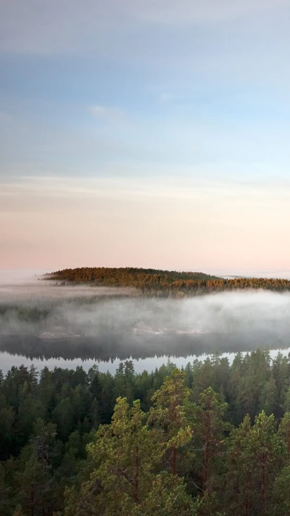 Repoveden kansallispuisto