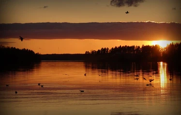 Veneilyä Lohjanjärvellä - Kuva: Mira Sinisalo