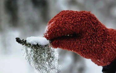 Nuotiohetki järvimaisemassa Mäntyharjulla - Retken kohokohta on kiireetön nuotiohetki järven rannalla. Nuotion äärellä nautitaan makkaraa, nokipannukahvia ja Mäntyharjun luonnon rauhasta.