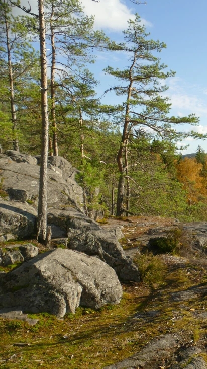 MTB Toriseva