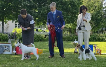 Best In Show - BIS 1: Texforrier Johnny on the Spot /
BIS 2: Twinkle V.D. Bismarckquelle, Carola Möhrke, Germany