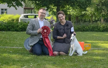 Best In Show - BIS 1: Texforrier Johnny on the Spot /
BIS 2: Twinkle V.D. Bismarckquelle, Carola Möhrke, Germany