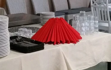 Juhlaruoka katettuna Äpyliin