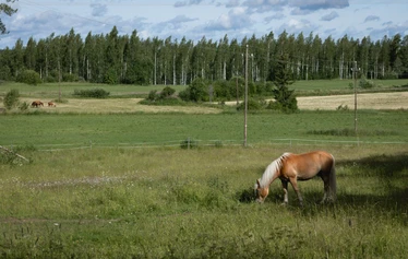 Kokoustilat sijaitsevat vanhassa navetassa