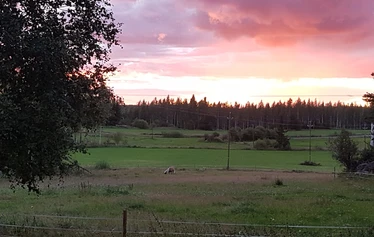 Pehmeä paketti