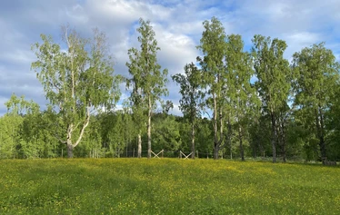 Polku Vaaranaholle - Mervi Lindström