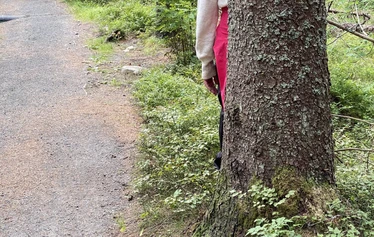 Kolin Mattila Metsämieli