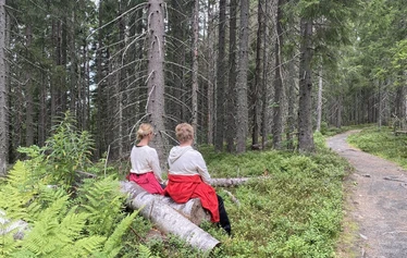 Kolin Mattila Metsämieli