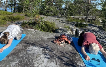 Kolin Mattilan metsäjooga