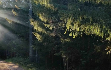 Kolin Mattila siirtymäriitti seremonia