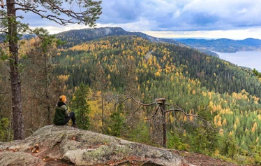 Metsämieli - Maarit Jääskeläinen