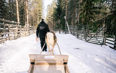 Iloiset asiakkaat rekiajelulla