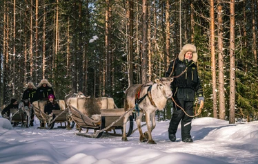 Porojen ruokintakierros