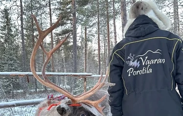 Porosafari järvenjäällä