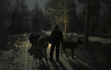 Kota illan valaistuksessa