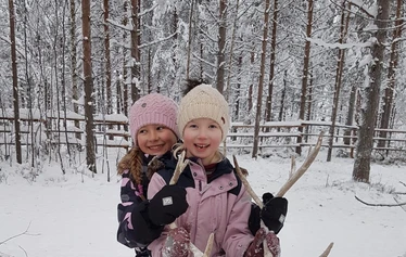 Porojen ruokintakierros