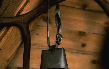 Porojen ruokintakierros