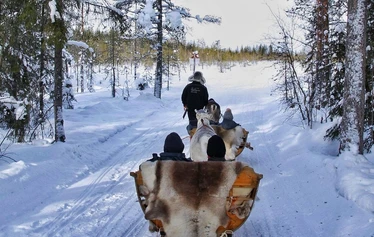 Porosafari järvenjäällä