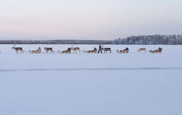 Porosafari järvenjäällä