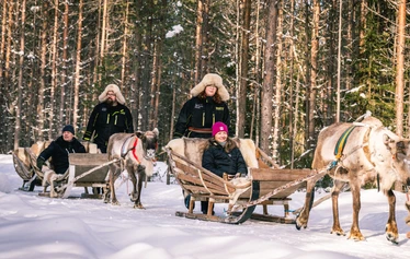 Iloiset asiakkaat rekiajelulla