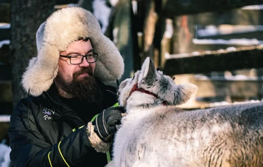 Porojen ruokintakierros