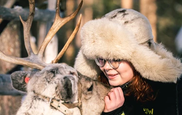 Porojen ruokintakierros