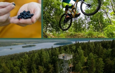 Vaarojen majojen puuteltat sijaitsevat Kiparinrannalla. - Puuteltasta on mahdollista ihailla järven taakse laskevaa auringonlaskua.