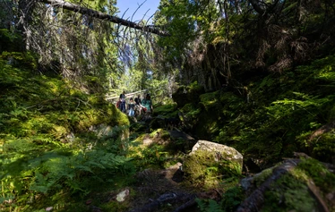 Pumpulikirkko pothole