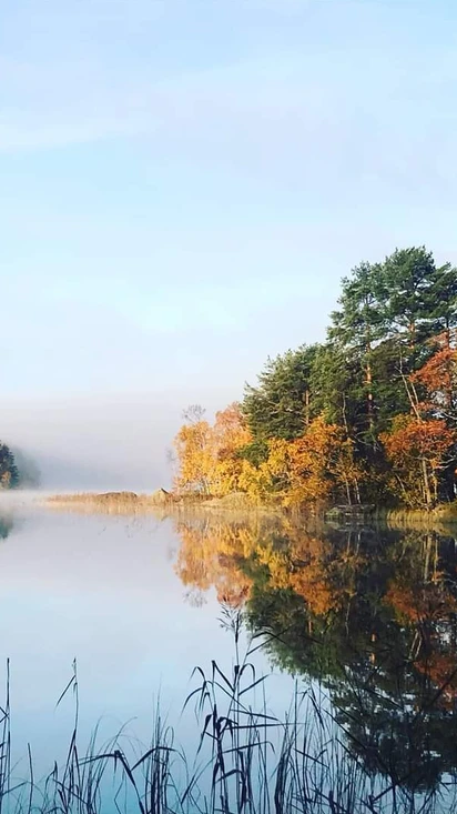 Opisto