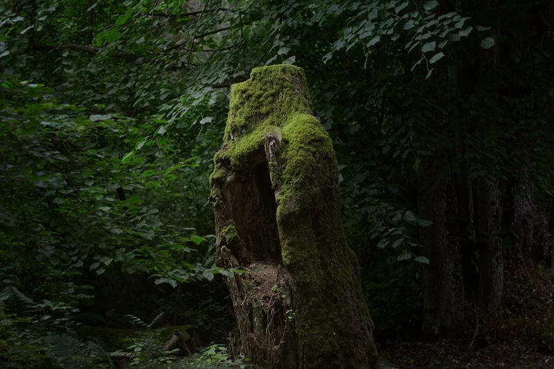 Yleisen sarjan voittaja, henttuphotography