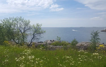 Kustaanmiekka Vallisaaresta - kuva: Mira Hahle
