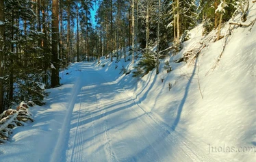 Viimeiset metrit mökille