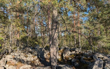Lapp Cairn location - The Lapp Cairn is located at the highest point of Linnasaari ("Fort Island") - a place which also offers a spectacular view over Lake Juolasvesi.